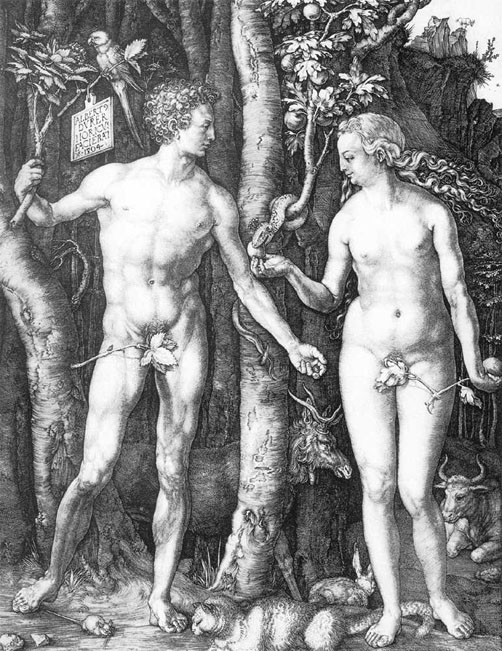 Albrecht+Durer-1471-1528 (2).jpg